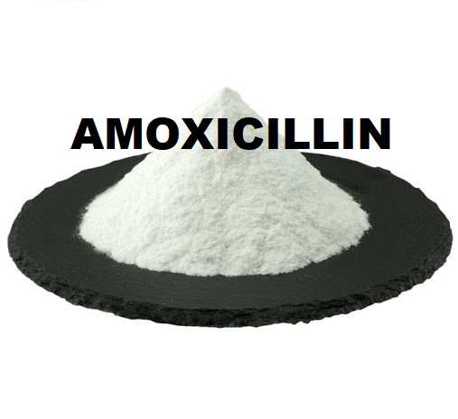 Amoxicillin Raw Material Price In India